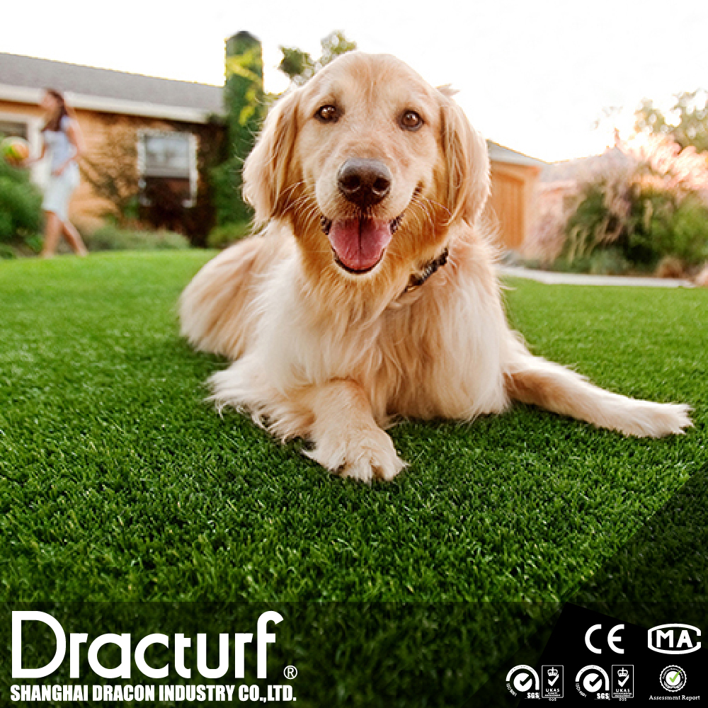 There is dog urine and waste on the artificial pet grass?