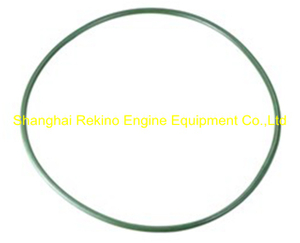 230.112.03 O ring Guangchai marine engine parts 230
