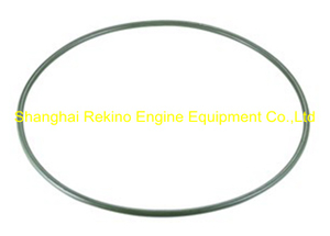 230.116.04 O ring Guangchai marine engine parts 230