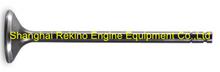 N.01.005A Exhaust valve Ningdong engine parts for N160 N6160 N8160