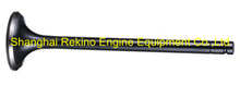 N17-01-005 Exhaust valve Ningdong engine parts for N170 N6170 N8170