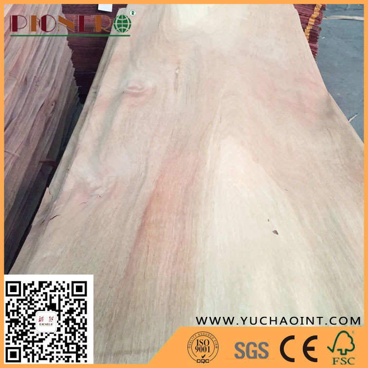  Natural Wood Plb Veneers