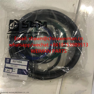 wheel loader cylinder bucket seal Kit 5371494 W050000020