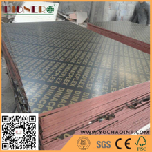  Brown Film Faced Plywood Marine Plywood