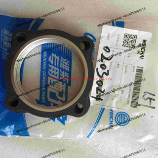 Weichai engine turbocharge gasket 12161831