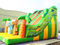 RB6038(10x5x7m) Inflatable Jungle Theme Customized Commercial Slide With Different Animals For Kids