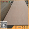 E1 glue BB/CC bintangor face veneer door skin plywood