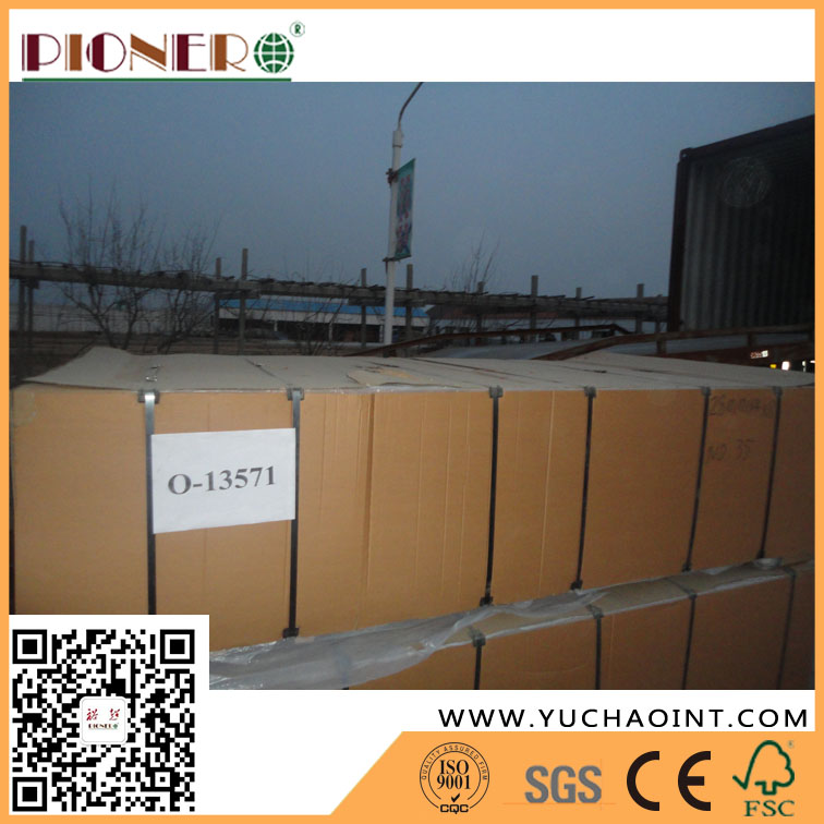 Bb/Cc Grade Hot Sale White Face Plywood for Furniture