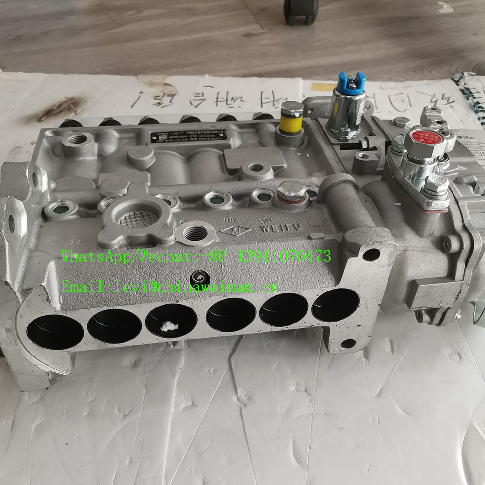 DCEC 6CT8.3 Engine Spare Parts Fuel injection pump 3973900