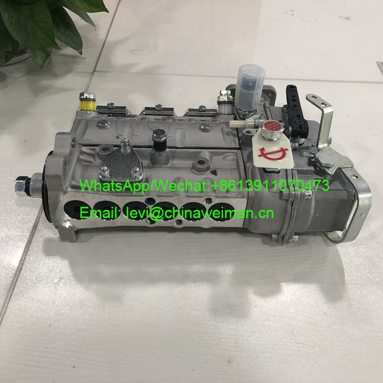 Cummins DCEC Diesel Engine Parts Fuel Injection Pump 3913902