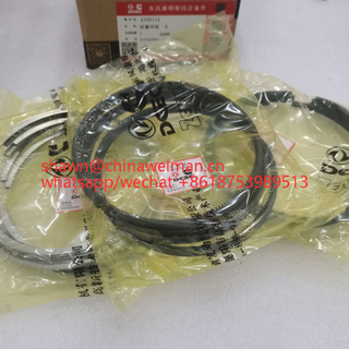 Cummins Diesel Engine Parts 6TL9.3 Piston Ring Set 4309114 piston ring 4309114