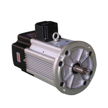 Double Speed Crane Travel Motor