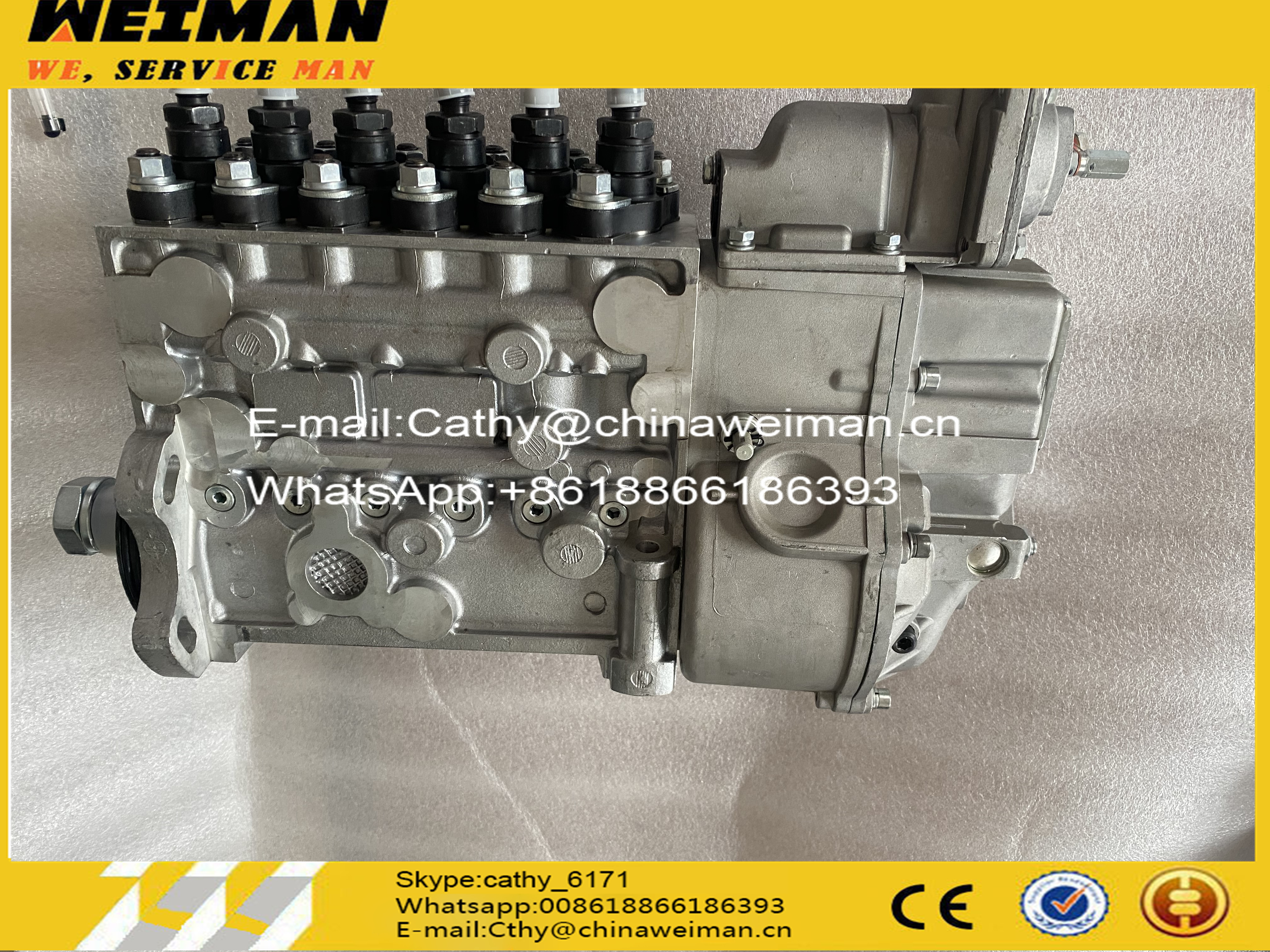 WEICHAI Original Injection Pump EBHF6H 612601080376 for WP10 Diesel Engine