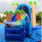 RB01046（8x4m） Inflatable Moana castle/ Inflatable funcity with Slide