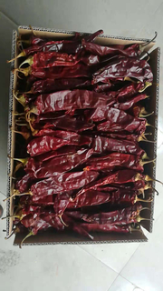 Sun Dried Red chili Paprika Pods with Stem