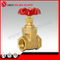 Chinese Manufacturer of Pn16 Brass Gate Valve