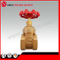 Fogred Brass Gate Valve for Water Control Valve