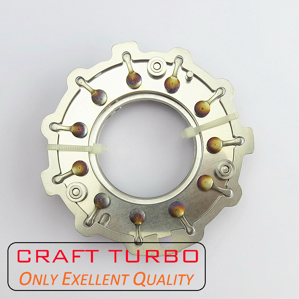 GTB1749V 787556-0017/ 787556-17/ 787556-5016S/ 787556-16/ 787556-0016 Nozzle Ring for Turbocharger