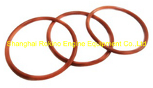 193736 Injector O ring NT855 Cummins engine parts