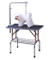 Stainless Steel Dog Pet Grooming Table With Adjustable Arm Basket