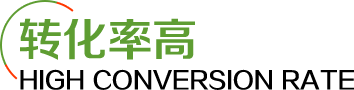 转化率高标题