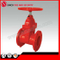 Cast Iron Rubber Wedge Non-Rising Stem Gate Valve