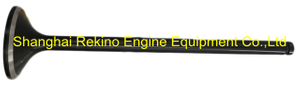 617003000001 Exhaust valve Weichai engine parts for 6170 8170