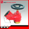 Fire Fighting Indoor Fire Hydrant Made in China