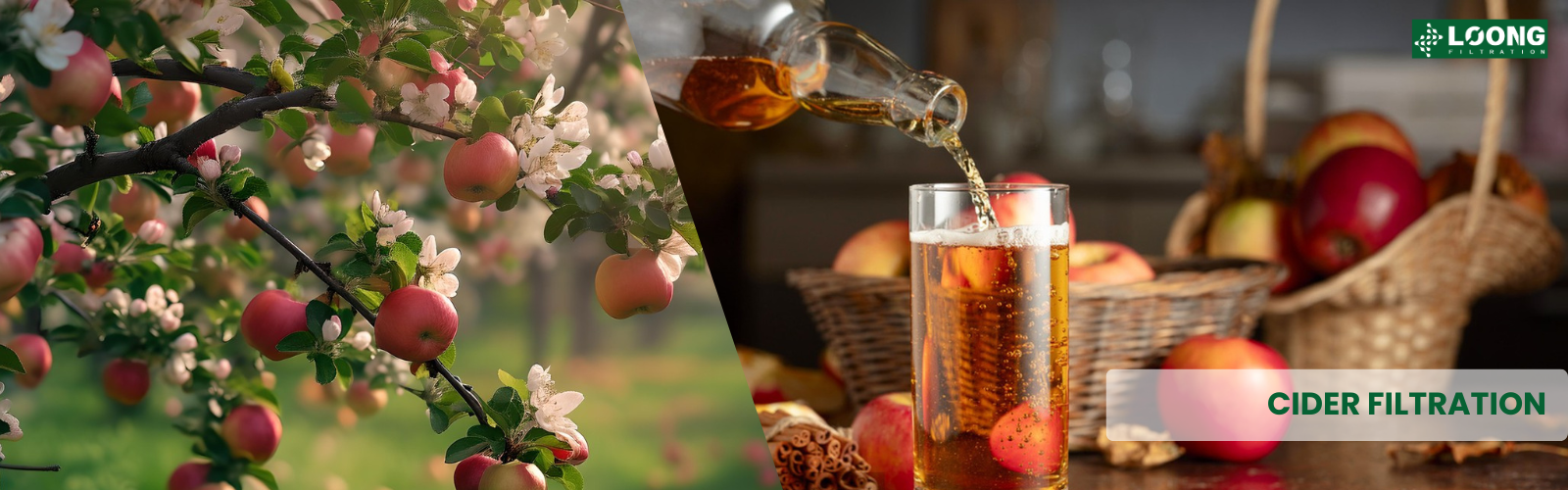 CIDER FILTRATION MANUFACTURER صانع مرشحات عصير التفاح