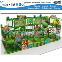 Animal Indoor Playground Adventure Play Equipment (H14-0804)