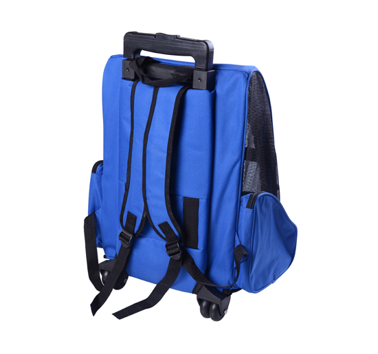 Pet Luggage Box Backpack Carrier Bag