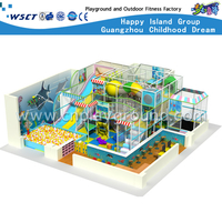 Diapositiva de plástico interior Naughty Castle Playground para el parque de atracciones (H13-60011)