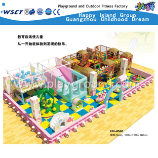Terrain de jeu intérieur d'intérieur d'équipement de terrain de jeu d'intérieur de Guangzhou (HD-8502)