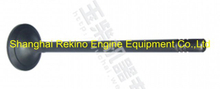 Yuchai engine parts exhaust valve LN100-1003103SF6