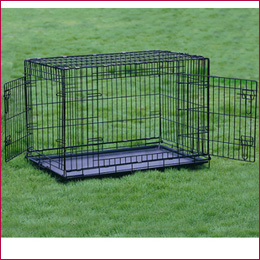 Wire Dog Cage