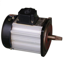 Single Speed Crane Travel Motor