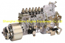Yuchai engine parts fuel injection pump J4100-1111100A-493R