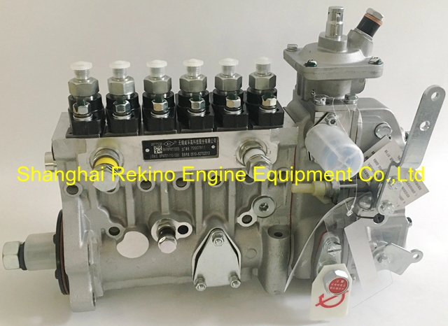 3977538 6PW701 6PW701-110-1050 Weifu fuel injection pump for Cummins 6BT5.9