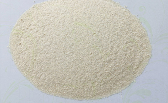 dehydrated onion powder
