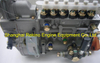 612600081236 6P1194 Weifu fuel injection pump for Weichai WD12