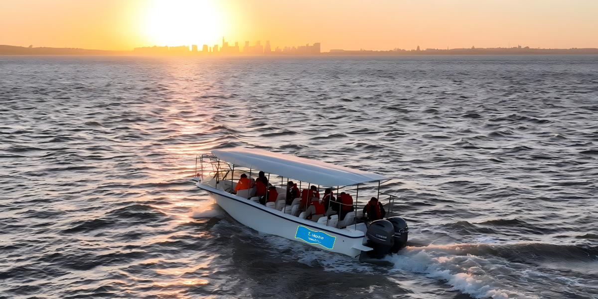 22 passenger boat for sale タイムズマリン 19.8m グラスファイバー客船