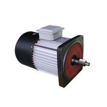 electric hoist motor