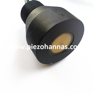 Transdutor ultra-sônico personalizado 650KHz para o sensor de lodo ultra-sônico