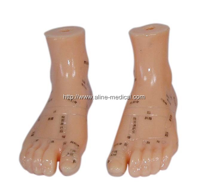 Massage Foot Model 12CM