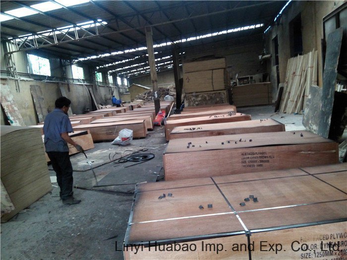 Hot Sales Black/Brown Construction Plywood/Marine Plywood/Shuttering Plywood