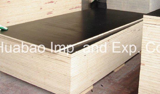 18mm Poplar/Hardwood Core Shutter Plywood
