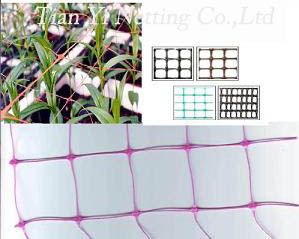 strength net
