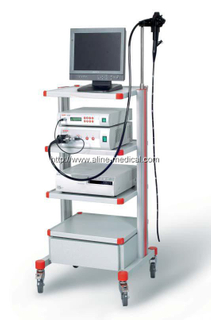 Video Gastroscopy