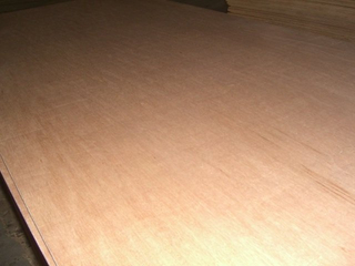 18mm Bintangor Plywood, Sanded Well