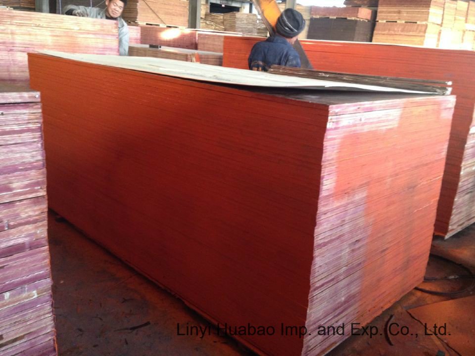 Poplar/ Birch/Hardwood Core Construction Plywood and Formwork Plywood (HB208)